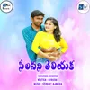 Selavani Teliyaka Telugu Love Failure Song
